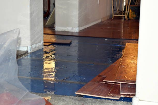Professional Burst Pipe Cleanup technician working in Holladay, UT